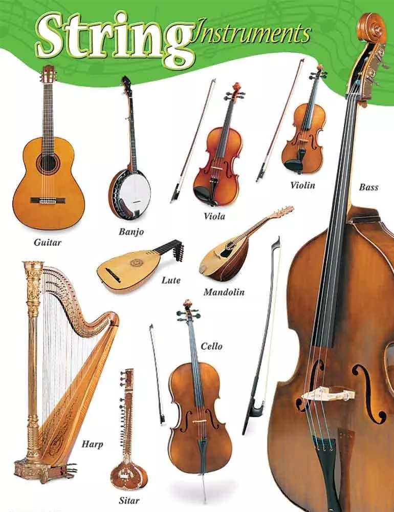 String Instruments